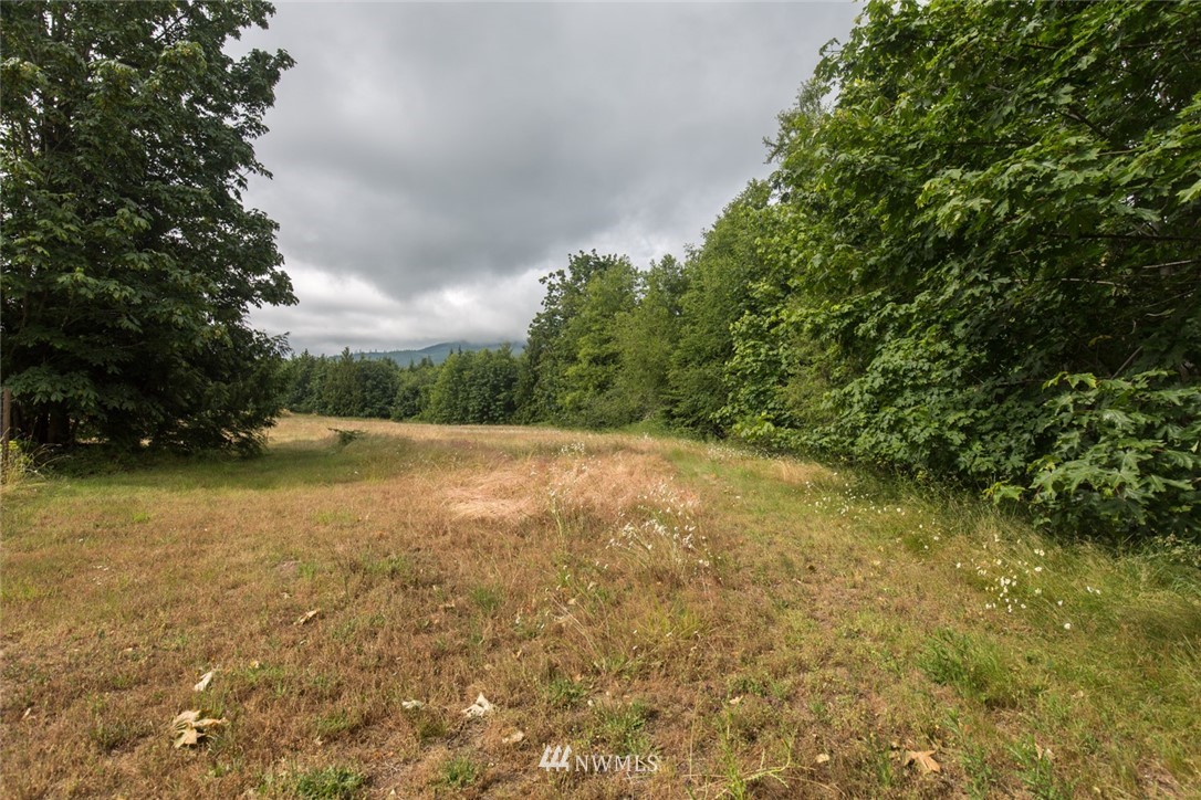 9999 Henry Boyd Road Port Angeles, WA 98362 - Photo 3 of 24 Gallery Image 3