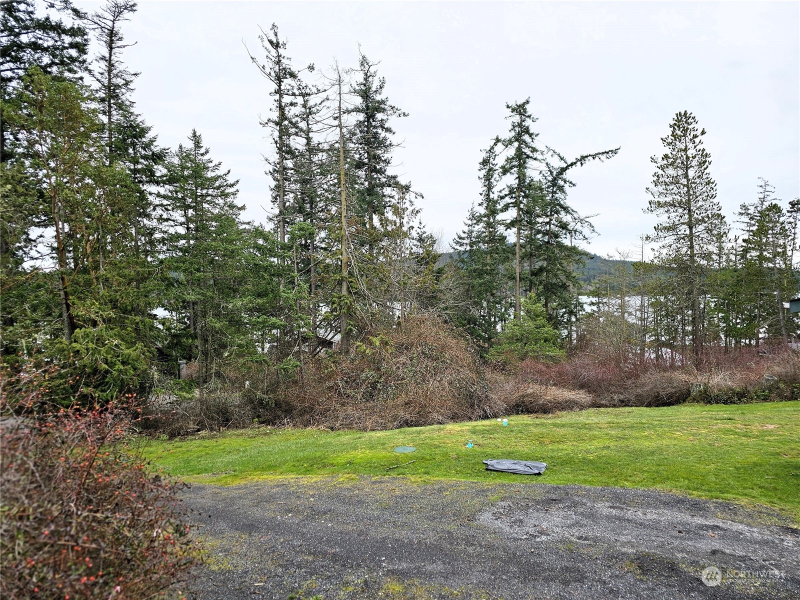 224 White Point Road Friday Harbor, WA 98250 - Photo 2 of 20 Gallery Image 2