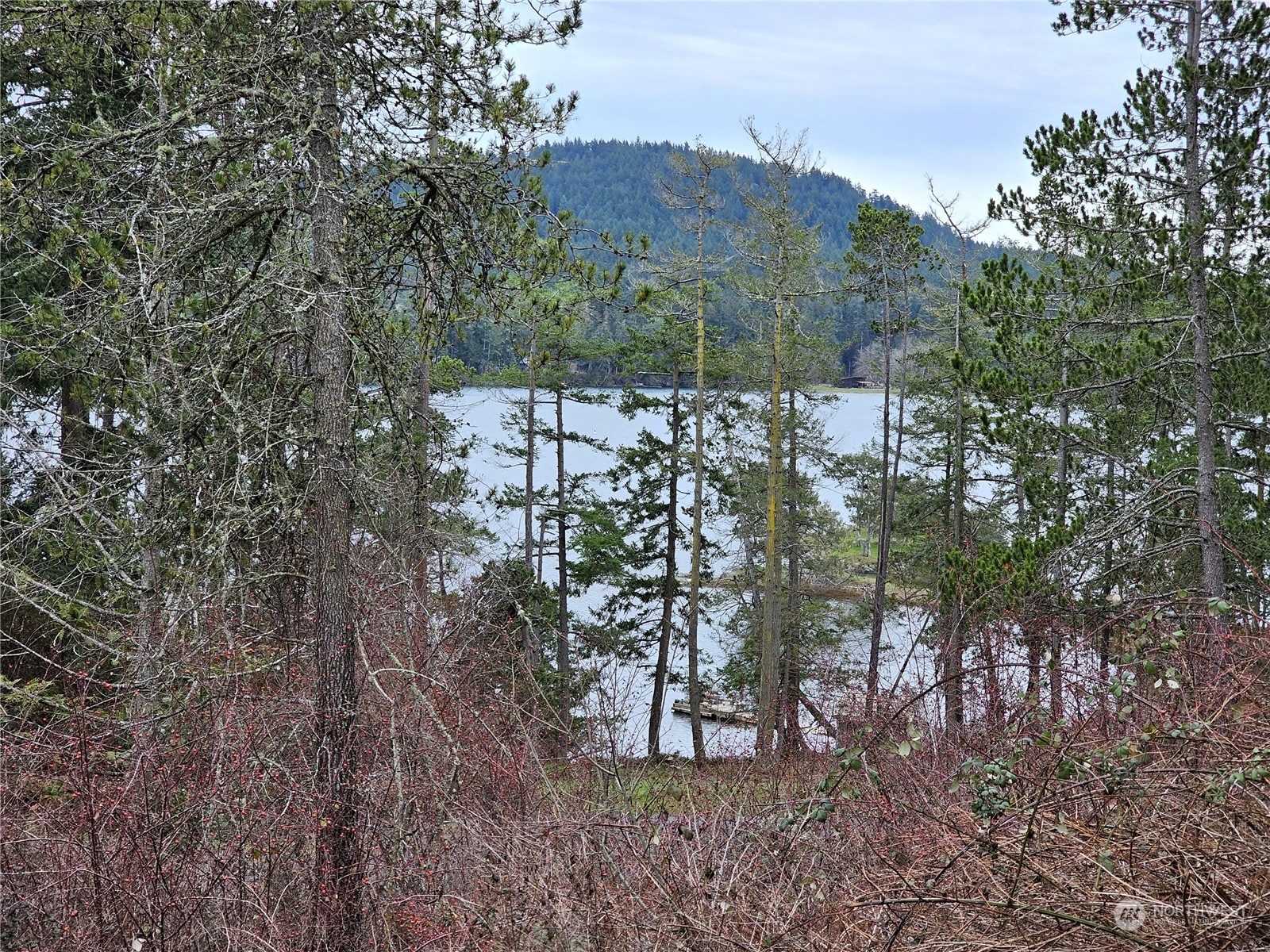 224 White Point Road Friday Harbor, WA 98250 - Photo 3 of 20 Gallery Image 3