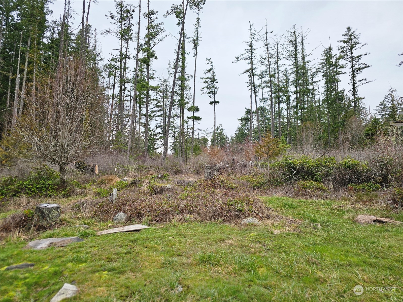 224 White Point Road Friday Harbor, WA 98250 - Photo 5 of 20 Gallery Image 5