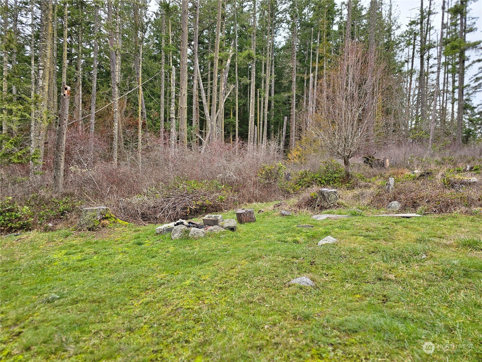224 White Point Road Friday Harbor, WA 98250 - Photo 6 of 20 Gallery Image 6