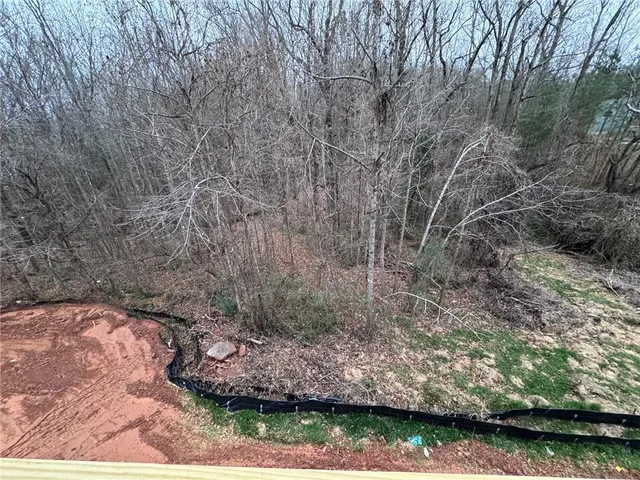 a view of backyard with green space