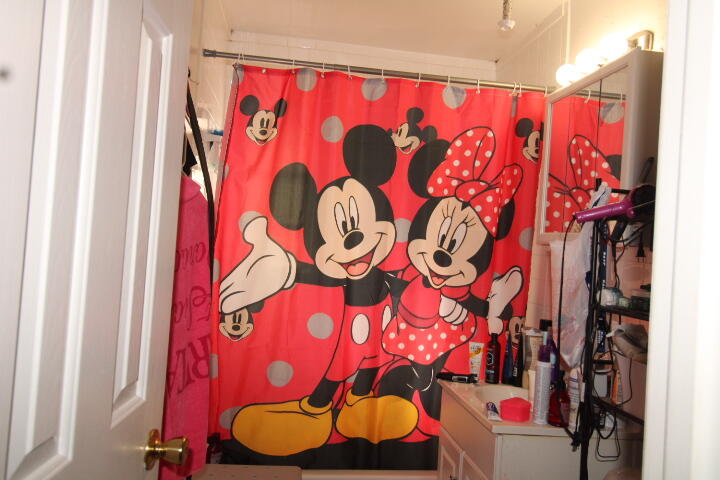 1501 West 11th Street Riviera Beach, FL 33404 - Photo 8 of 10 a bathroom with a sink and a curtain curtain