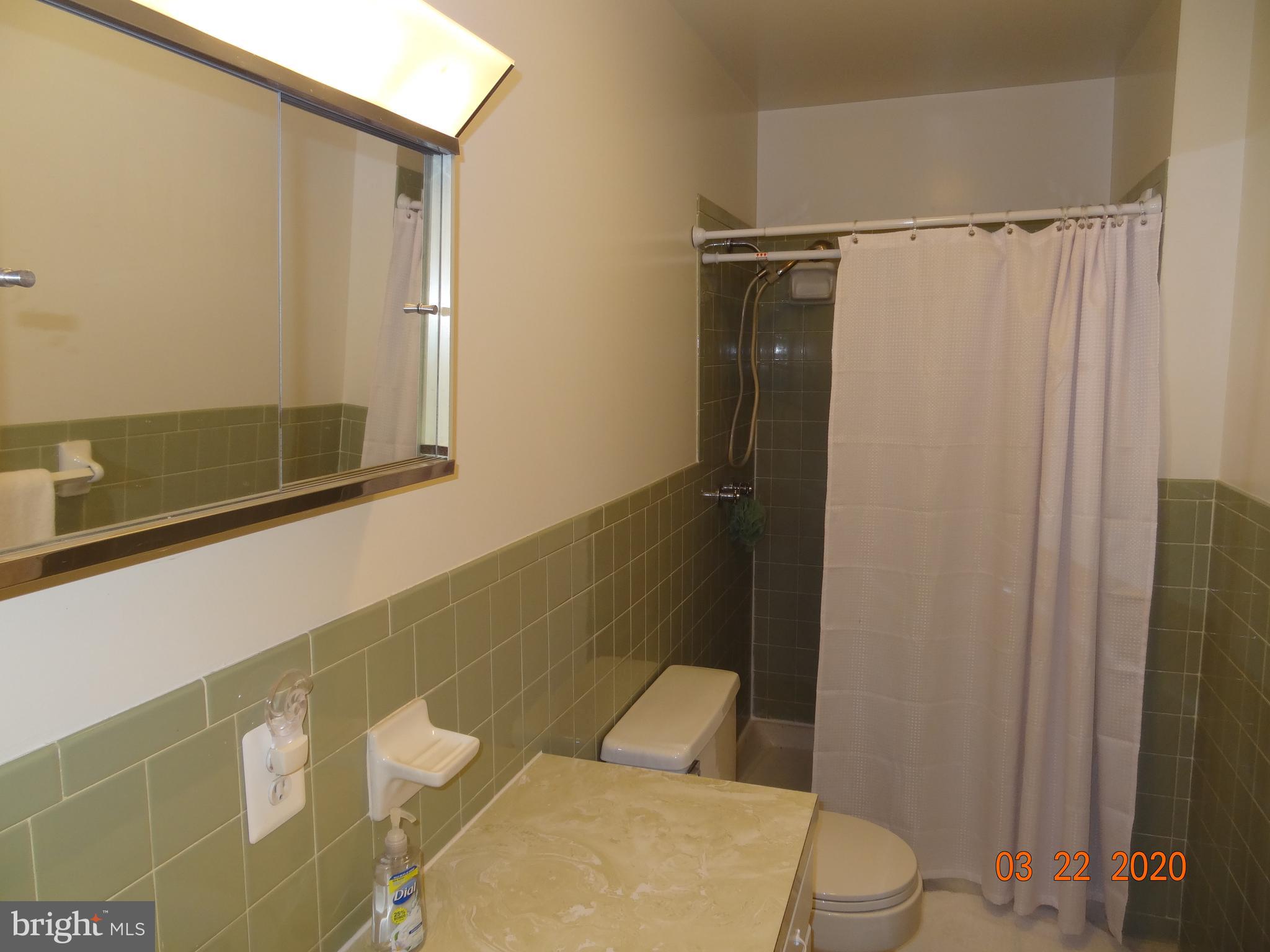 71 Fairview Road Louisa, VA 23093 - Photo 42 of 101 Master Bath
