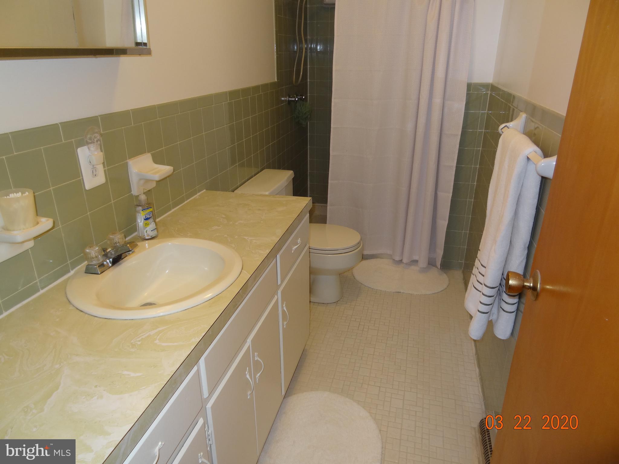 71 Fairview Road Louisa, VA 23093 - Photo 43 of 101 Master Bath
