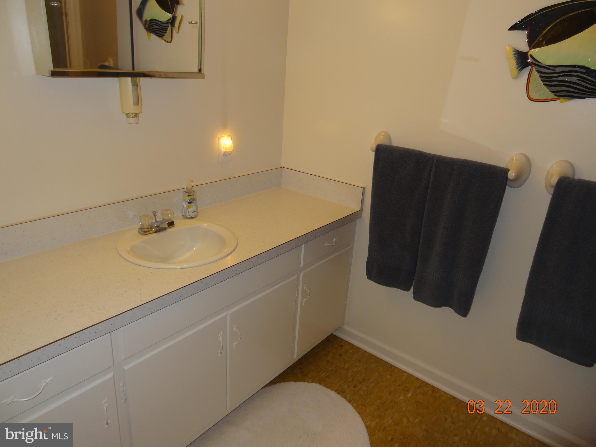 71 Fairview Road Louisa, VA 23093 - Photo 52 of 101 Hall Bath Vanity