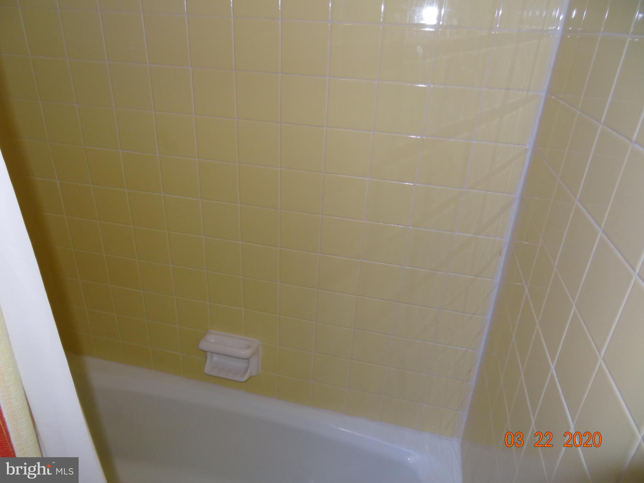 71 Fairview Road Louisa, VA 23093 - Photo 64 of 101 Lower Level Bathroom Shower/Tub