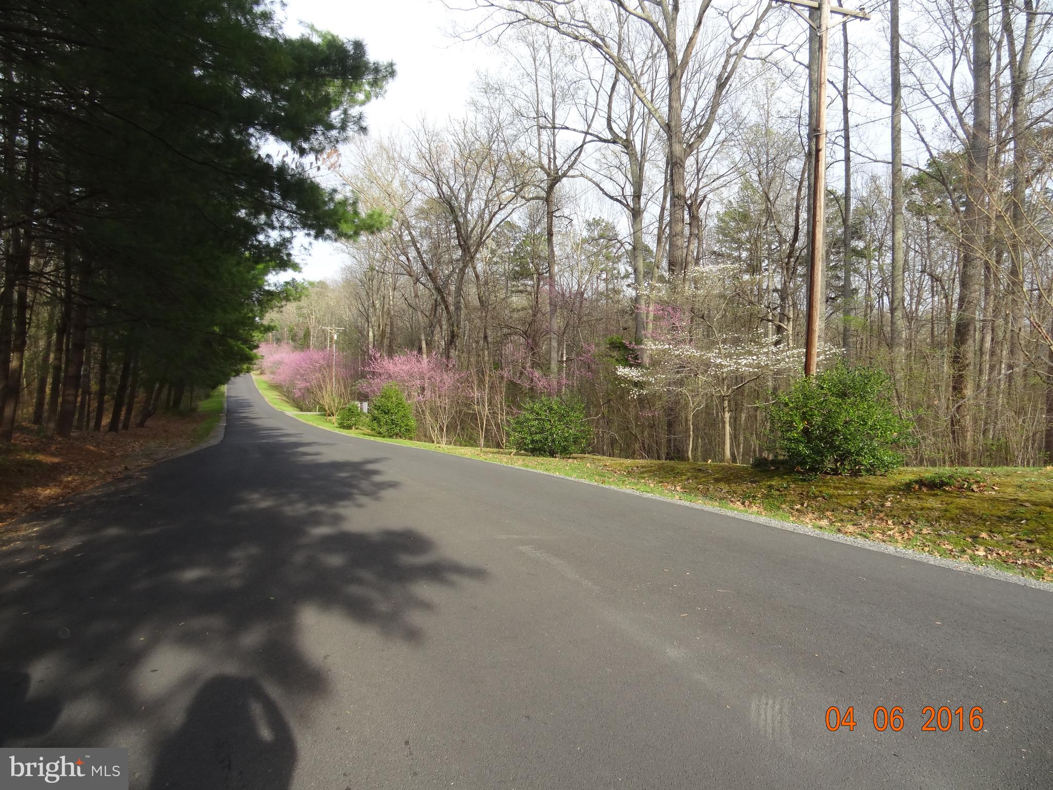 71 Fairview Road Louisa, VA 23093 - Photo 82 of 101 Road into Blue Ridge Shores