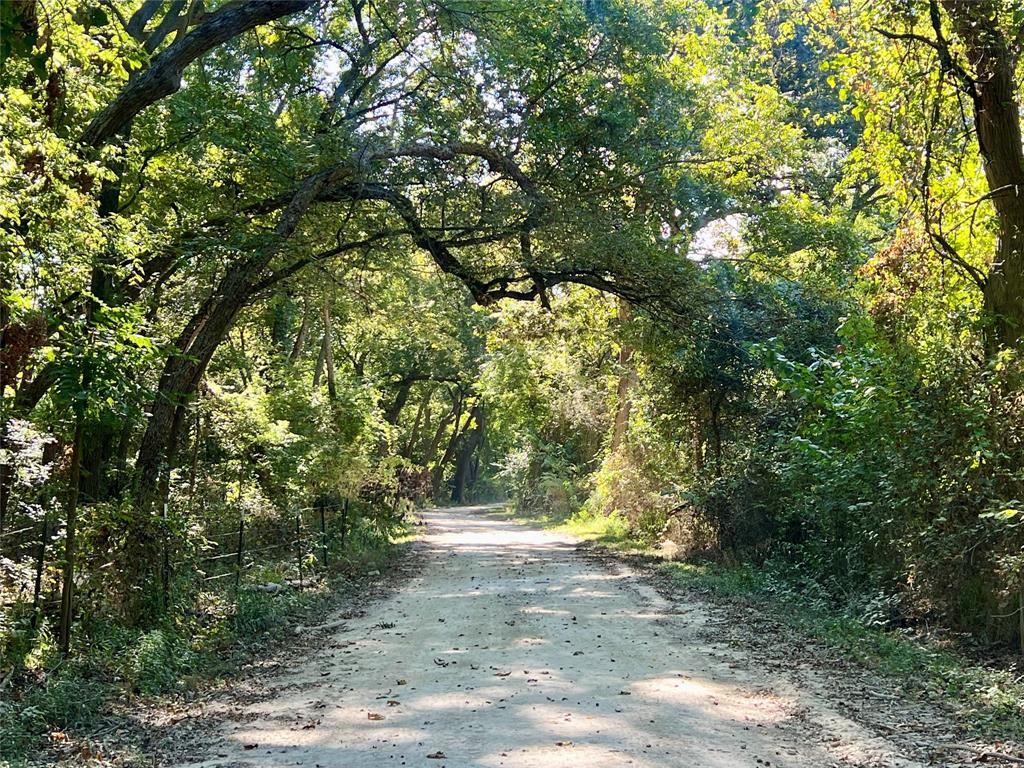 329 Lowell Road Milford, TX 76670 - Photo 25 of 40 a view of yard
