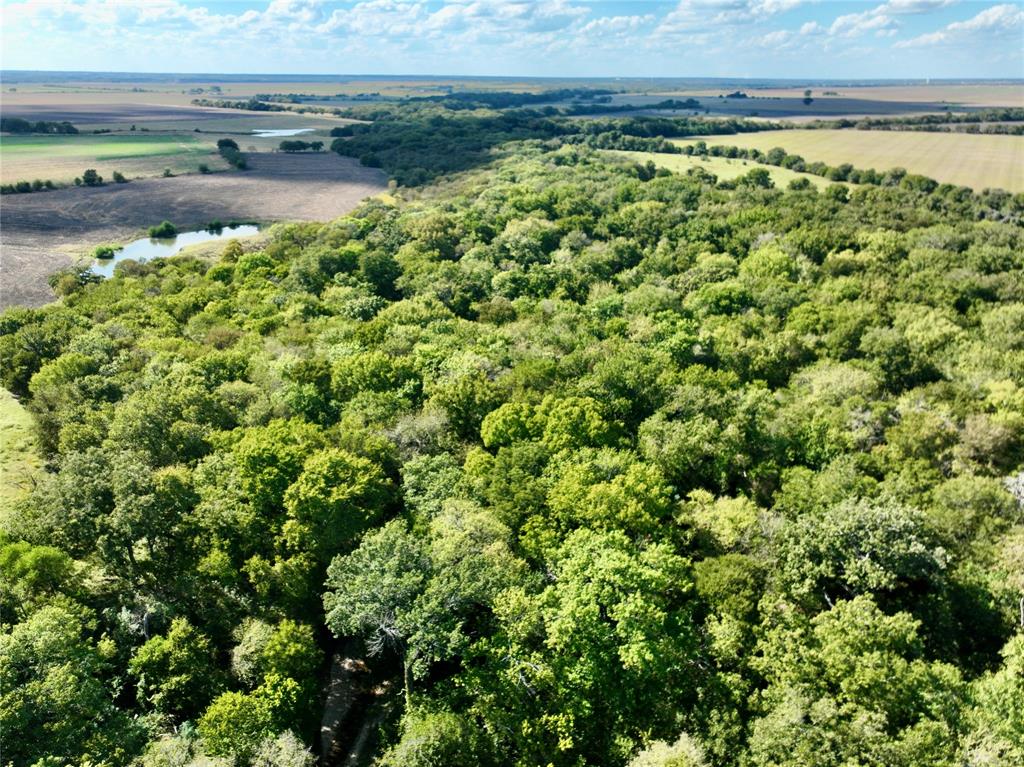 329 Lowell Road Milford, TX 76670 - Photo 26 of 40 a view of a lake with a field