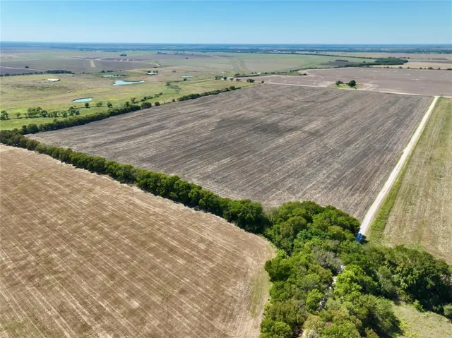 a view of a big yard with plants and large trees