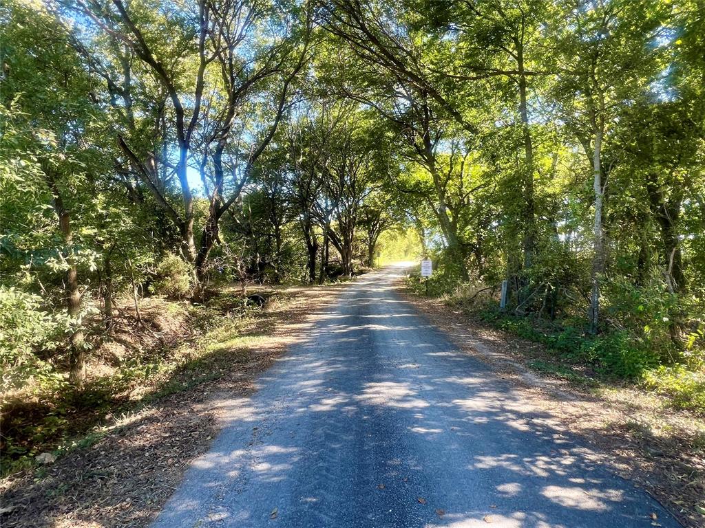 329 Lowell Road Milford, TX 76670 - Photo 35 of 40 a view of backyard with green space