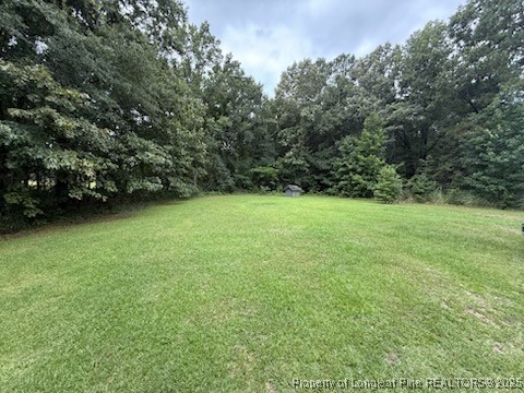 2828 Chimeny Brooke Road Fayetteville, NC 28312 - Photo 3 of 12 a view of a green yard
