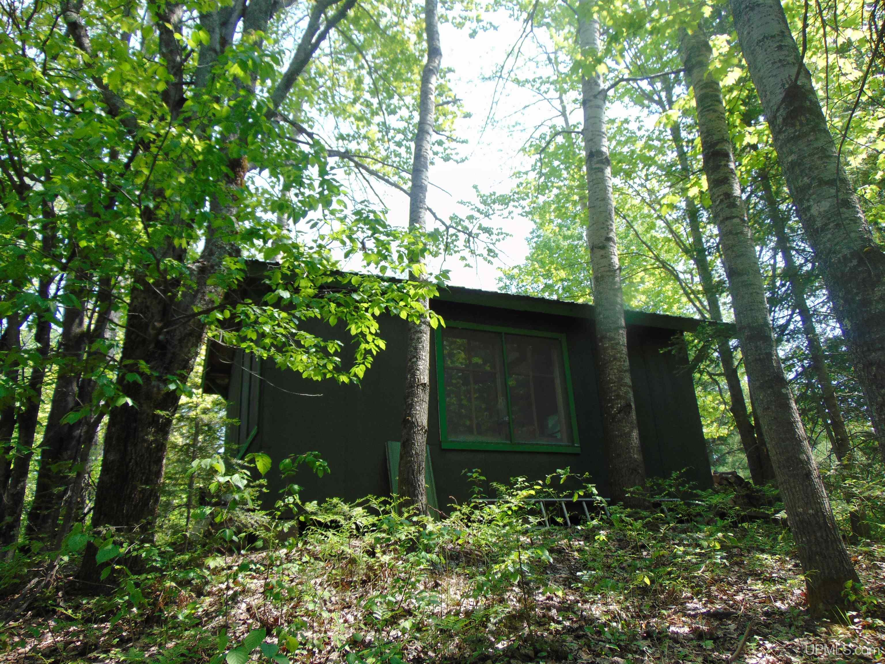 1 Larson Road Bruce Crossing, MI 49912 - Photo 10 of 34