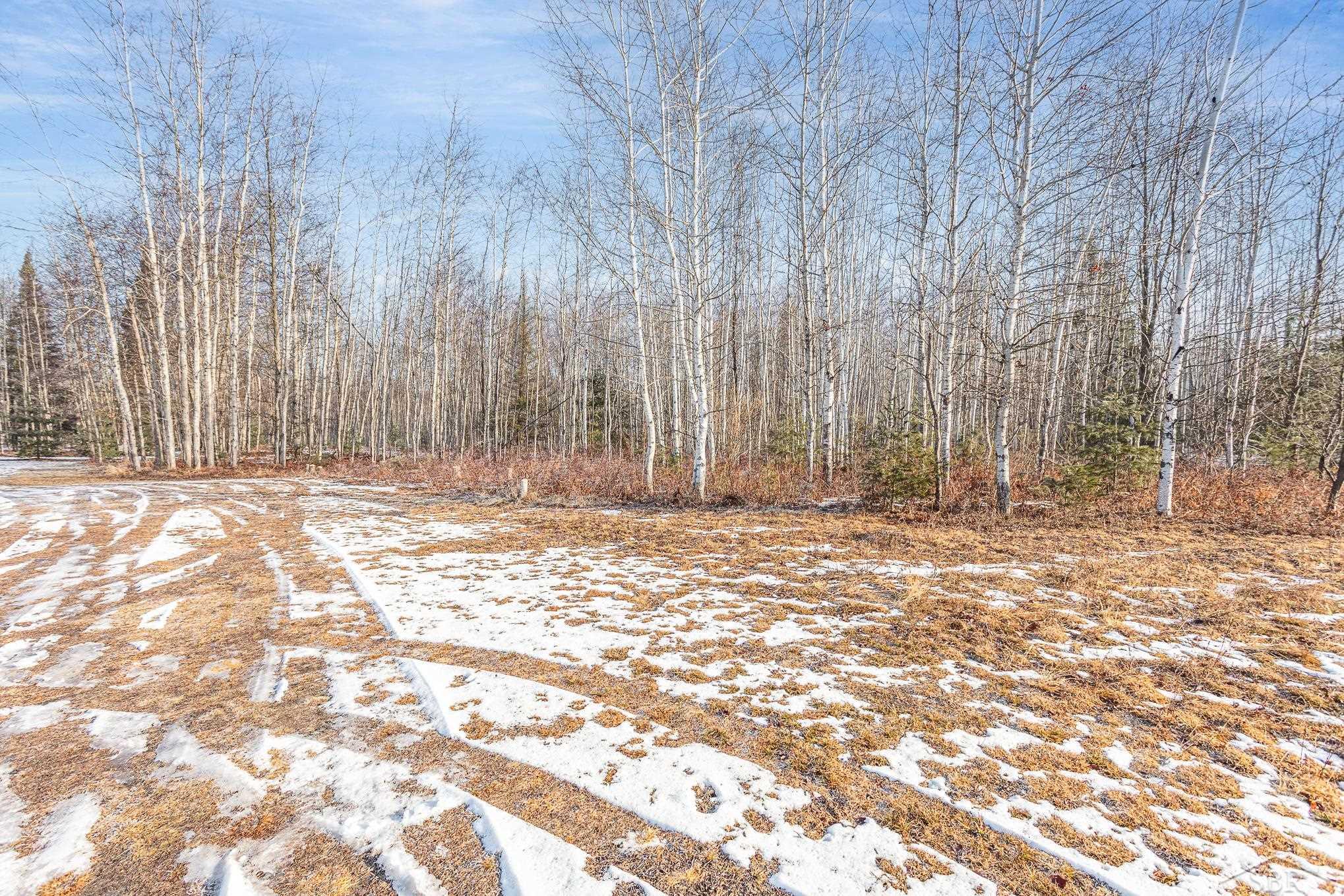 6428 Turtle Road Turner, MI 48765 - Photo 14 of 20 Gallery Image 14