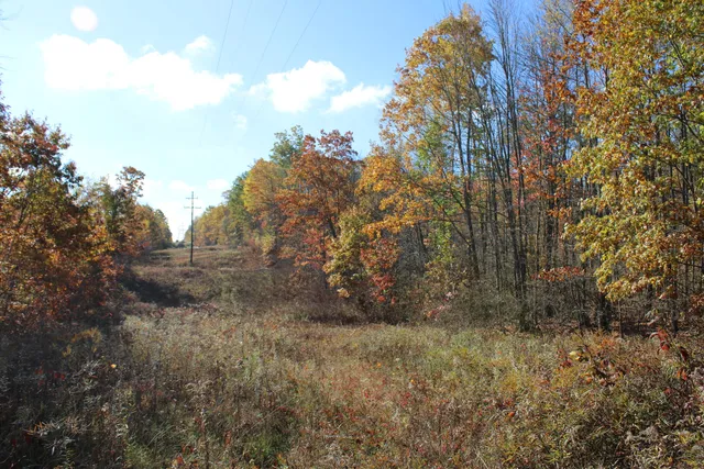 $240,000 | -vl Vl Harrison Railroad Grade Harrison Mi 48625, Harrison, MI 48625