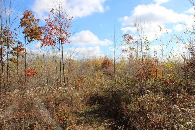 $240,000 | -vl Vl Harrison Railroad Grade Harrison Mi 48625, Harrison, MI 48625