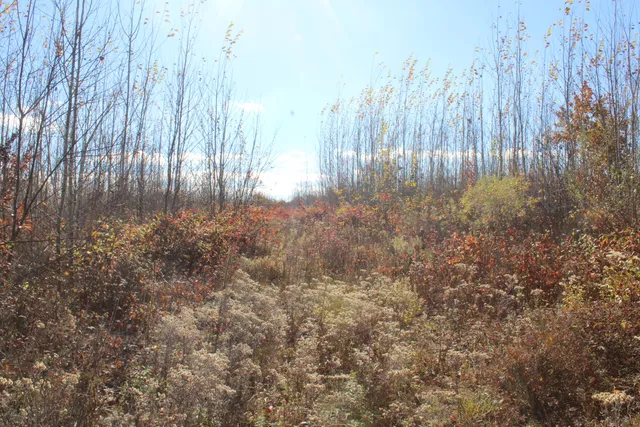 $240,000 | -vl Vl Harrison Railroad Grade Harrison Mi 48625, Harrison, MI 48625