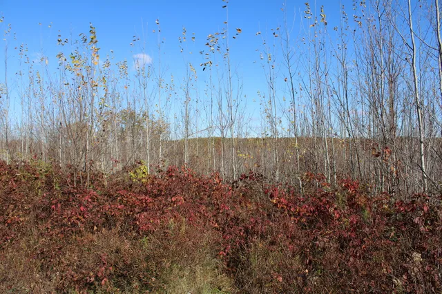 $240,000 | -vl Vl Harrison Railroad Grade Harrison Mi 48625, Harrison, MI 48625