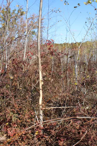 $240,000 | -vl Vl Harrison Railroad Grade Harrison Mi 48625, Harrison, MI 48625