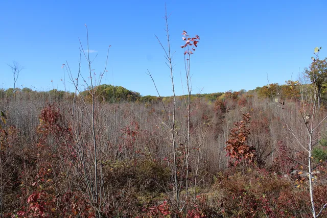 $240,000 | -vl Vl Harrison Railroad Grade Harrison Mi 48625, Harrison, MI 48625