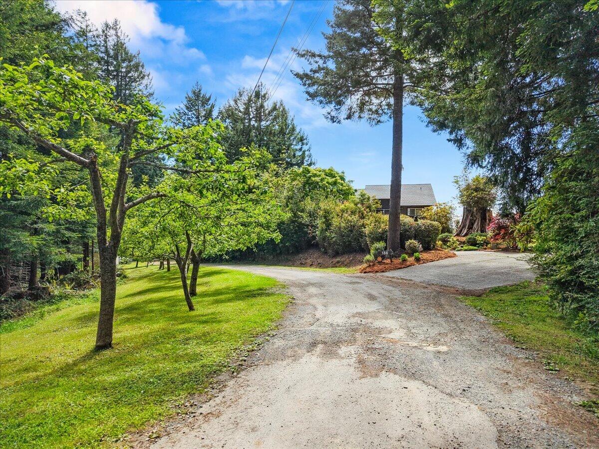 186 Shale Road Kneeland, CA 95549 - Photo 69 of 77