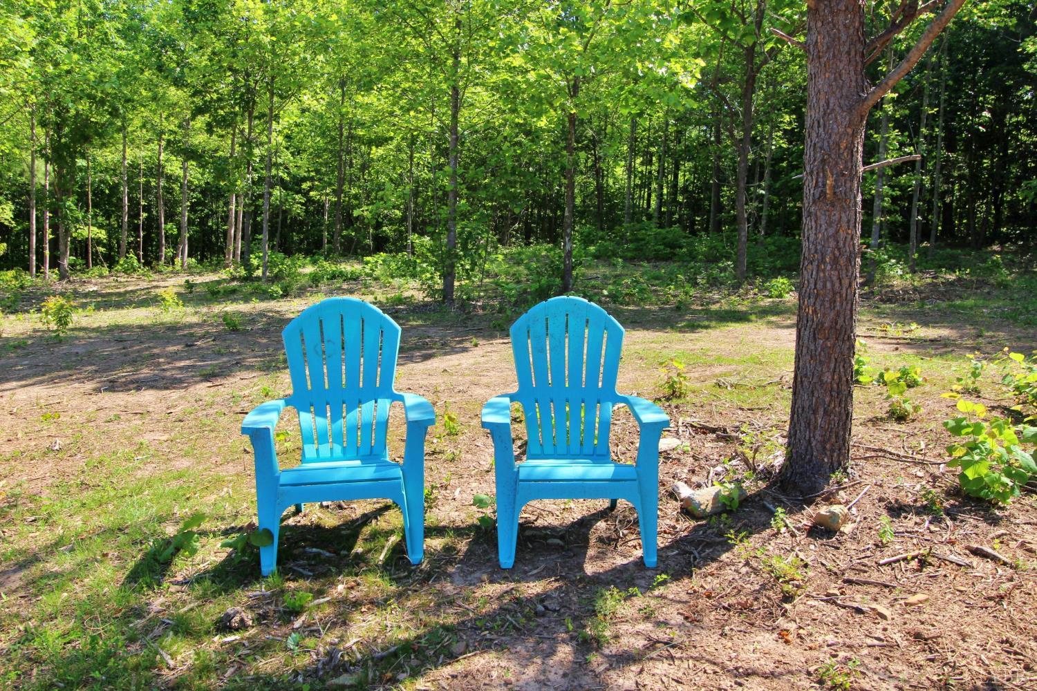 0 Tower Hill Road Appomattox, VA 24522 - Photo 9 of 11