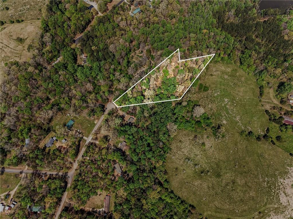 a view of a yard