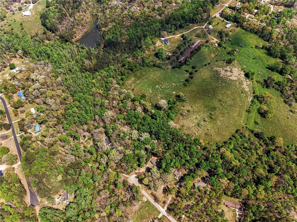 101 Birch Court Jefferson, GA 30549 - Photo 3 of 12 view of a lush green forest with lots of trees