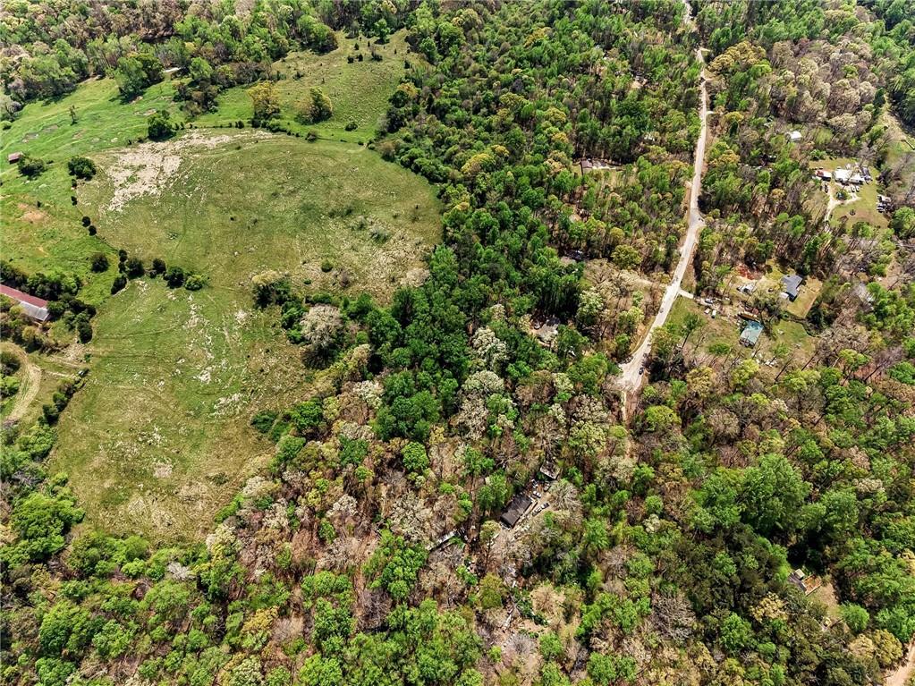 101 Birch Court Jefferson, GA 30549 - Photo 5 of 12 a view of a bunch of trees and bushes