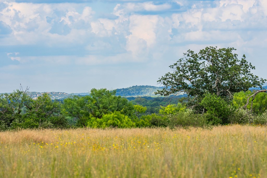 0 County Road Llano, TX 78643 - Photo 12 of 45