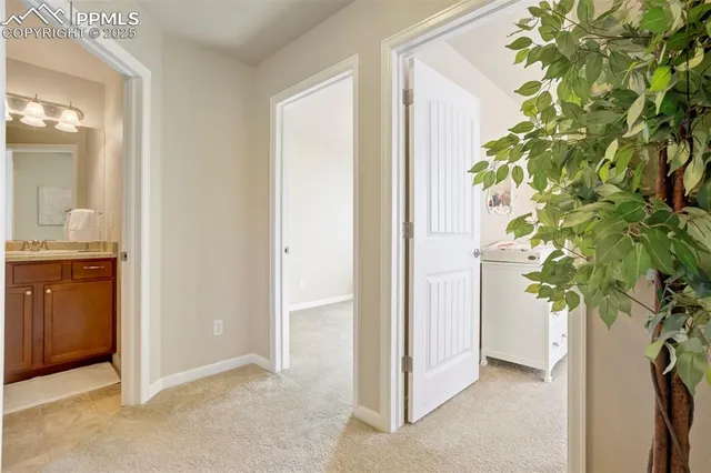 a view of a plant in a room