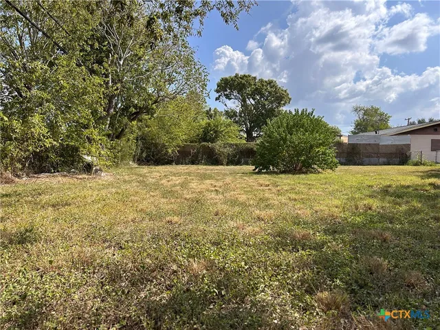 a view of a yard with an trees