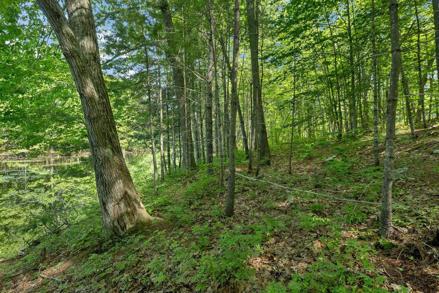 40 Norwood Road Salem, NH 03079 - Photo 16 of 22