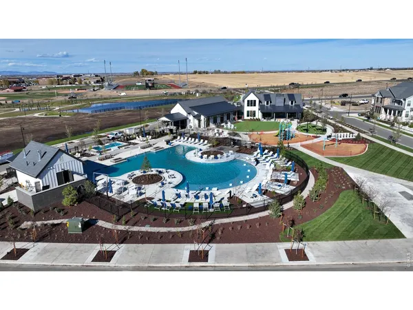 a living room with furniture a rug potted plant and windows