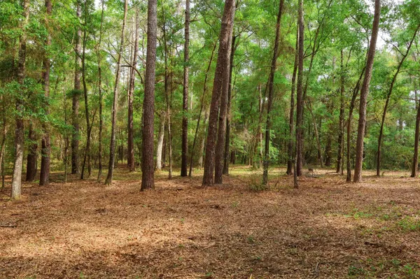 $250,000 | 2.97-ac Bird Song Trail, Tallahassee, FL 32309