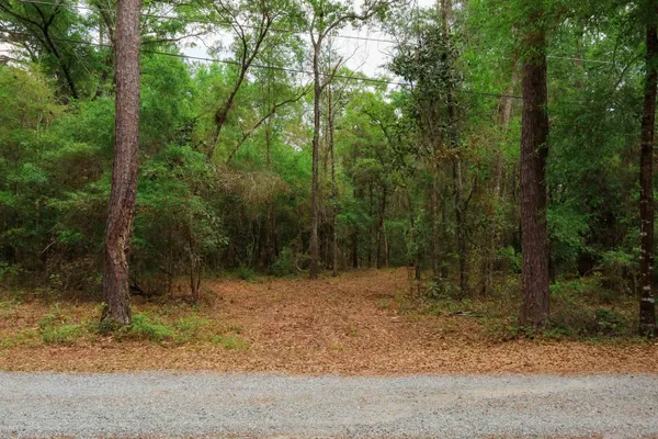 $250,000 | 2.97-ac Bird Song Trail, Tallahassee, FL 32309