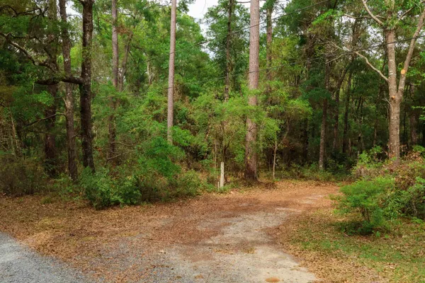 $250,000 | 2.97-ac Bird Song Trail, Tallahassee, FL 32309