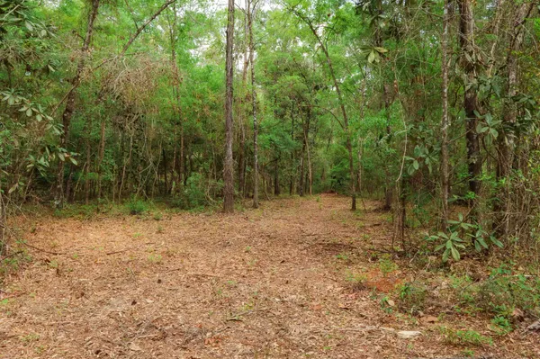 $250,000 | 2.97-ac Bird Song Trail, Tallahassee, FL 32309
