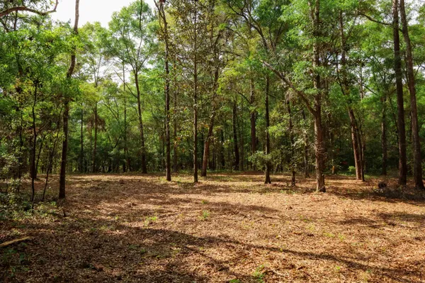 $250,000 | 2.97-ac Bird Song Trail, Tallahassee, FL 32309