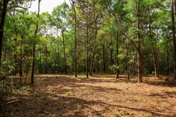 $250,000 | 2.97-ac Bird Song Trail, Tallahassee, FL 32309