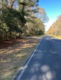 427 Bell Point Road Merritt, NC 28556 - Photo 13 of 20 tempImageGXVxx0