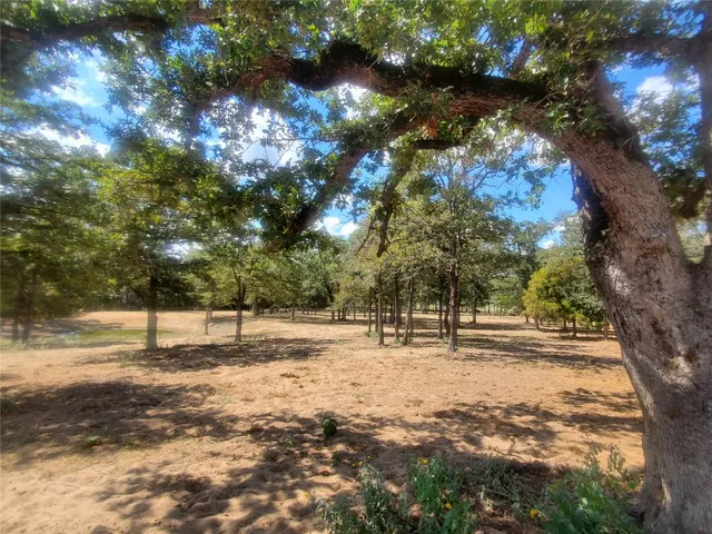 a house with trees in the background
