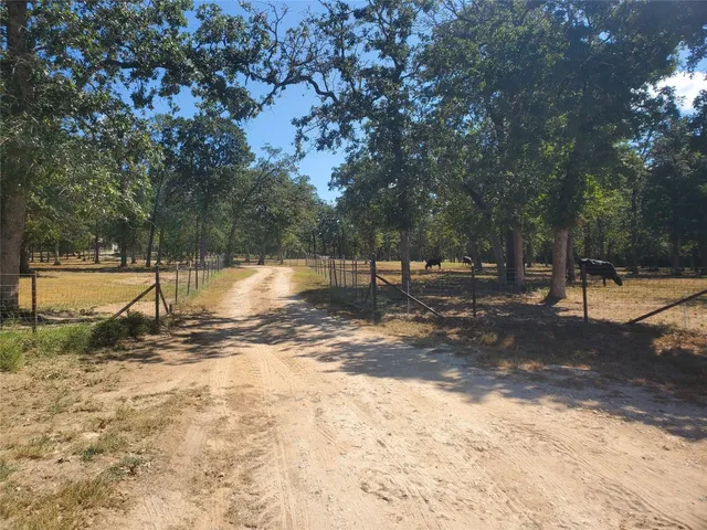 a view of a yard with trees