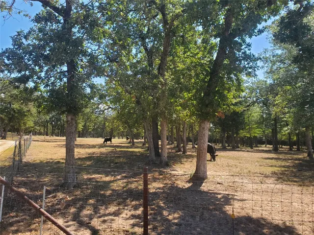 a view of street with trees