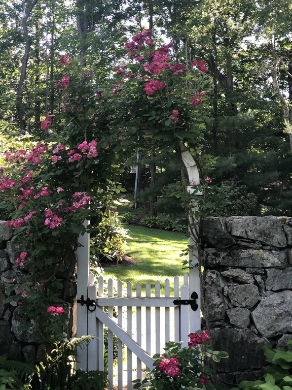 883 High Street Dedham, MA 02026 - Photo 38 of 42 a picture of flowers