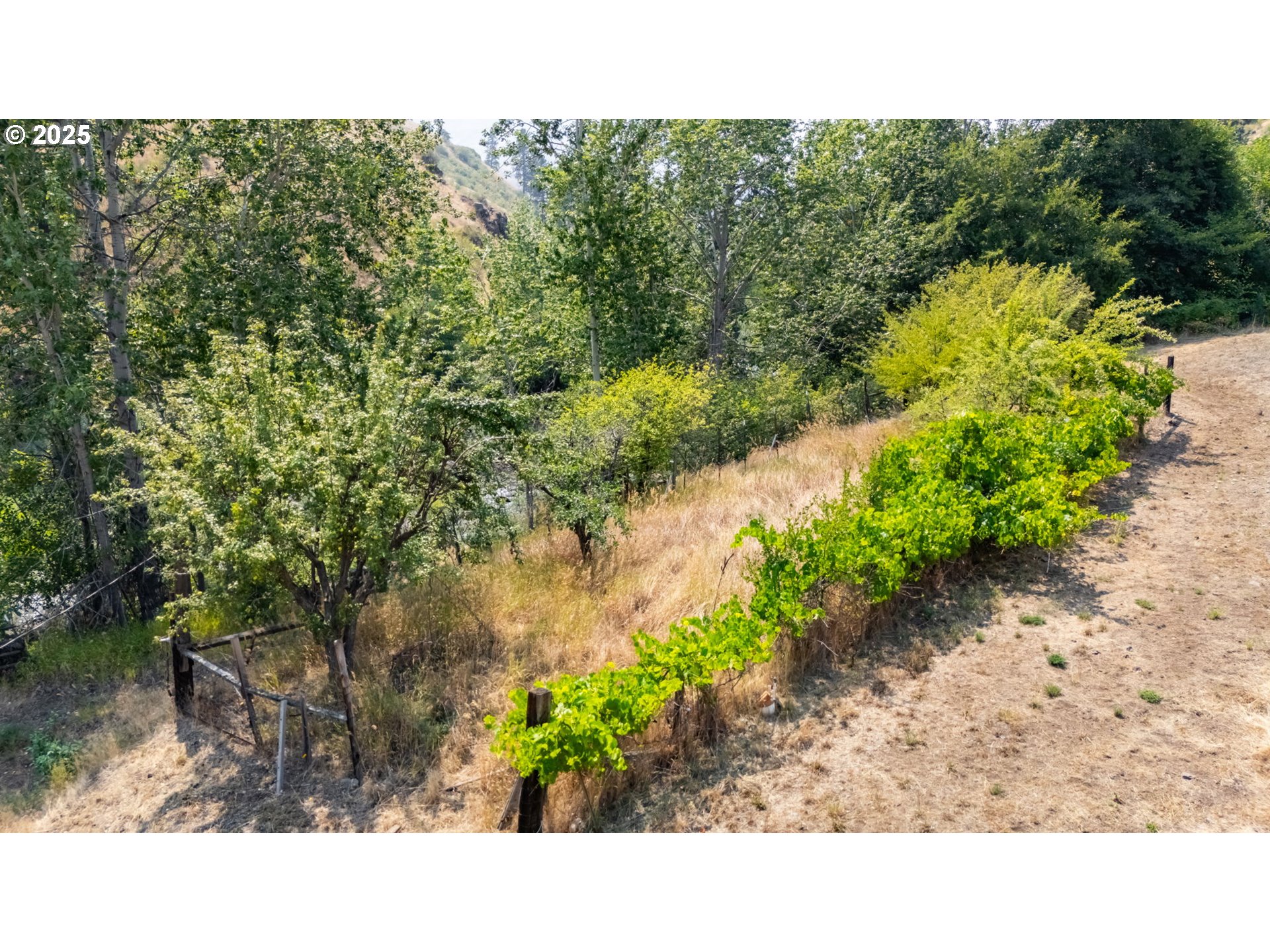 54312 Highway 86 Halfway, OR 97834 - Photo 35 of 36