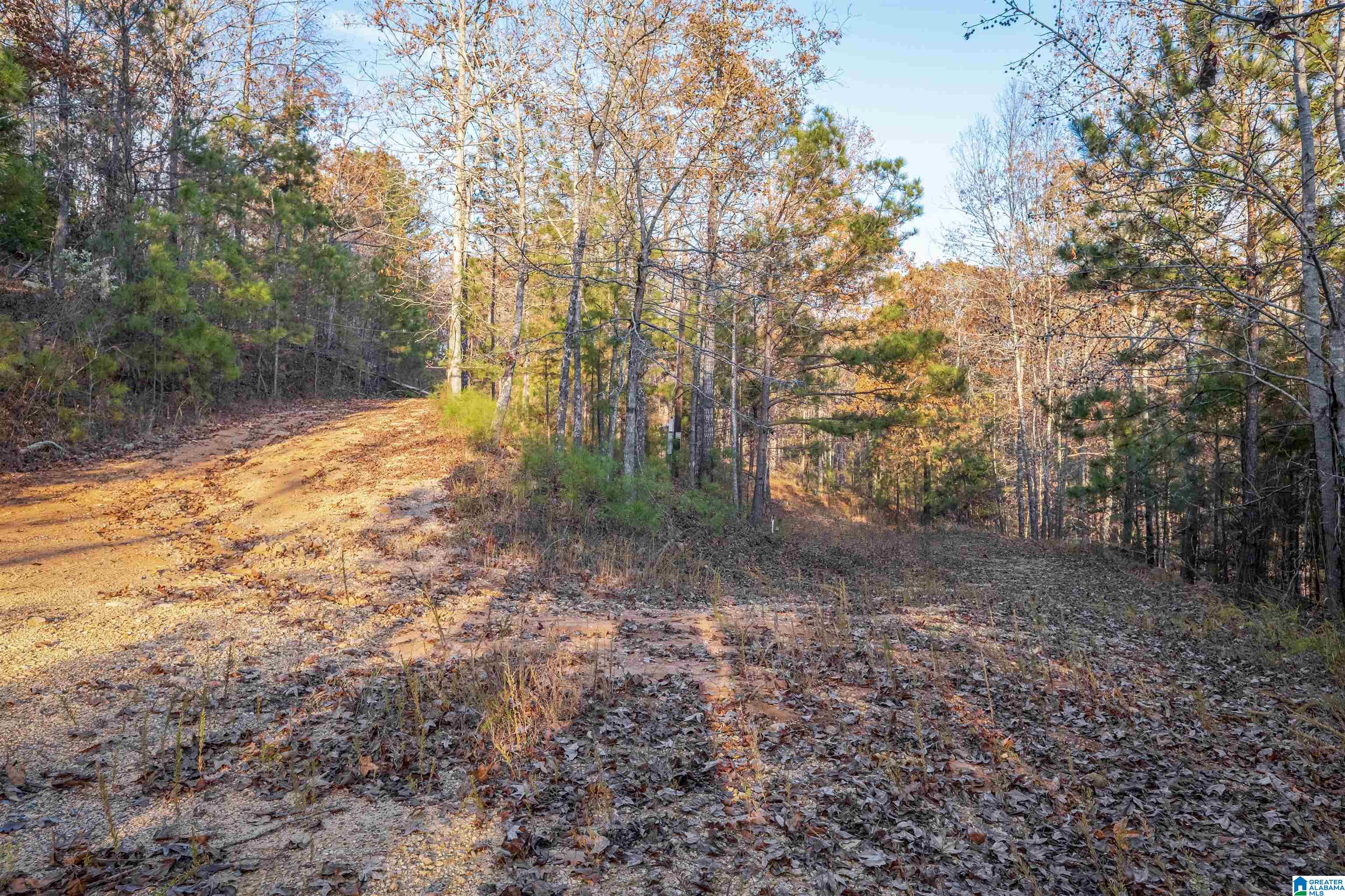1595 Mohawk Cliff Road Ohatchee, AL 36271 - Photo 61 of 65