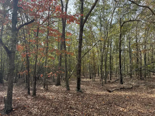 $75,000 | Lot 11 Highway 88 Blythe Ga 30805, Rising Fawn, GA 30738