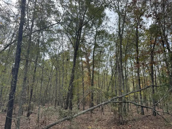 $75,000 | Lot 11 Highway 88 Blythe Ga 30805, Rising Fawn, GA 30738